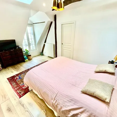 Gorgeous 5 Bedroom Parisian